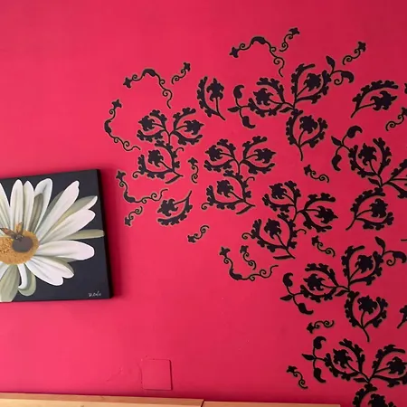 Homestay House On The *